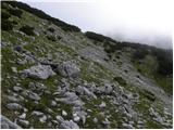 Koprivna (Kumer) - Velika glava (Peca)